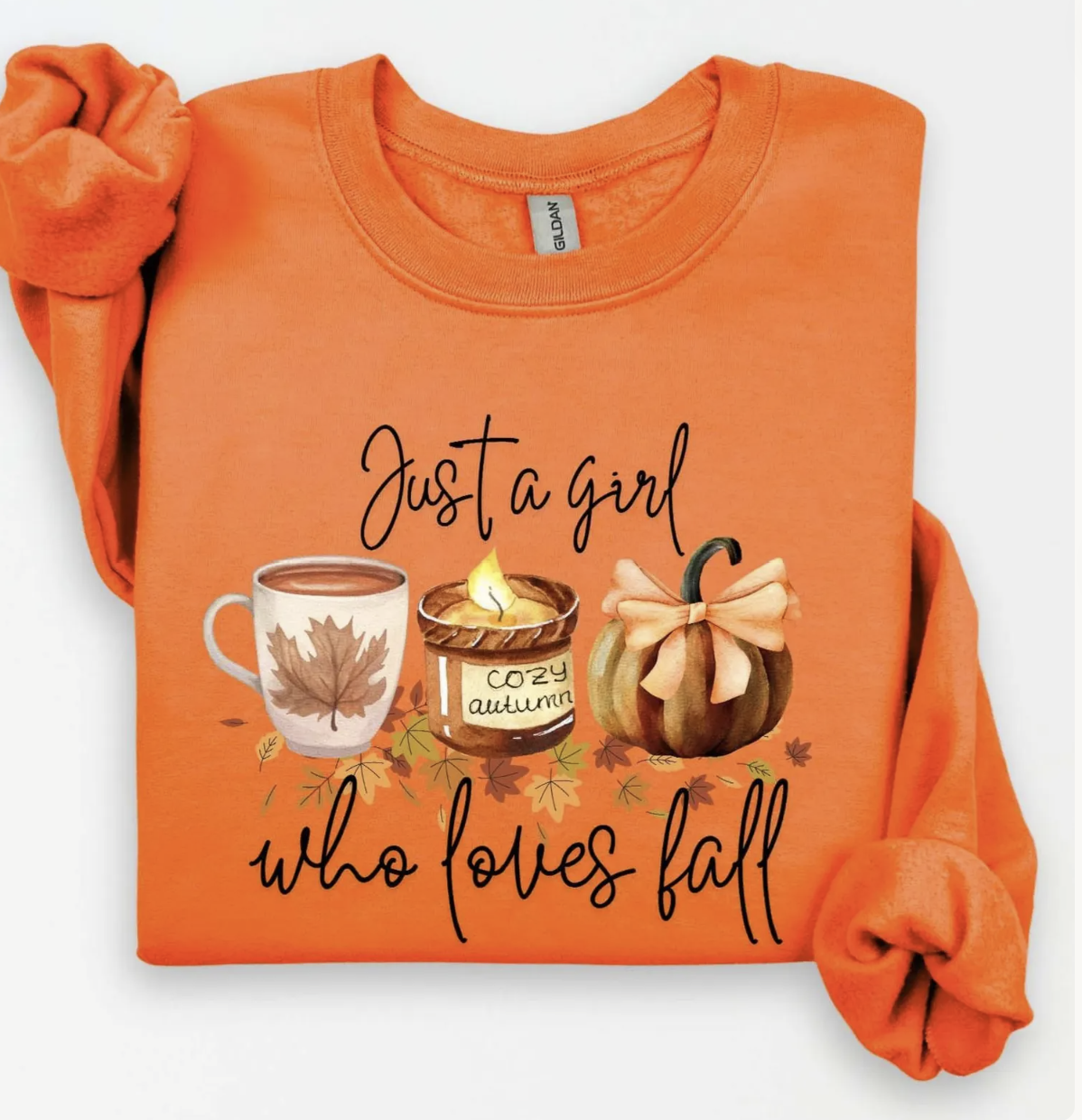 Just a girl who loves fall cozy Sweatshirt